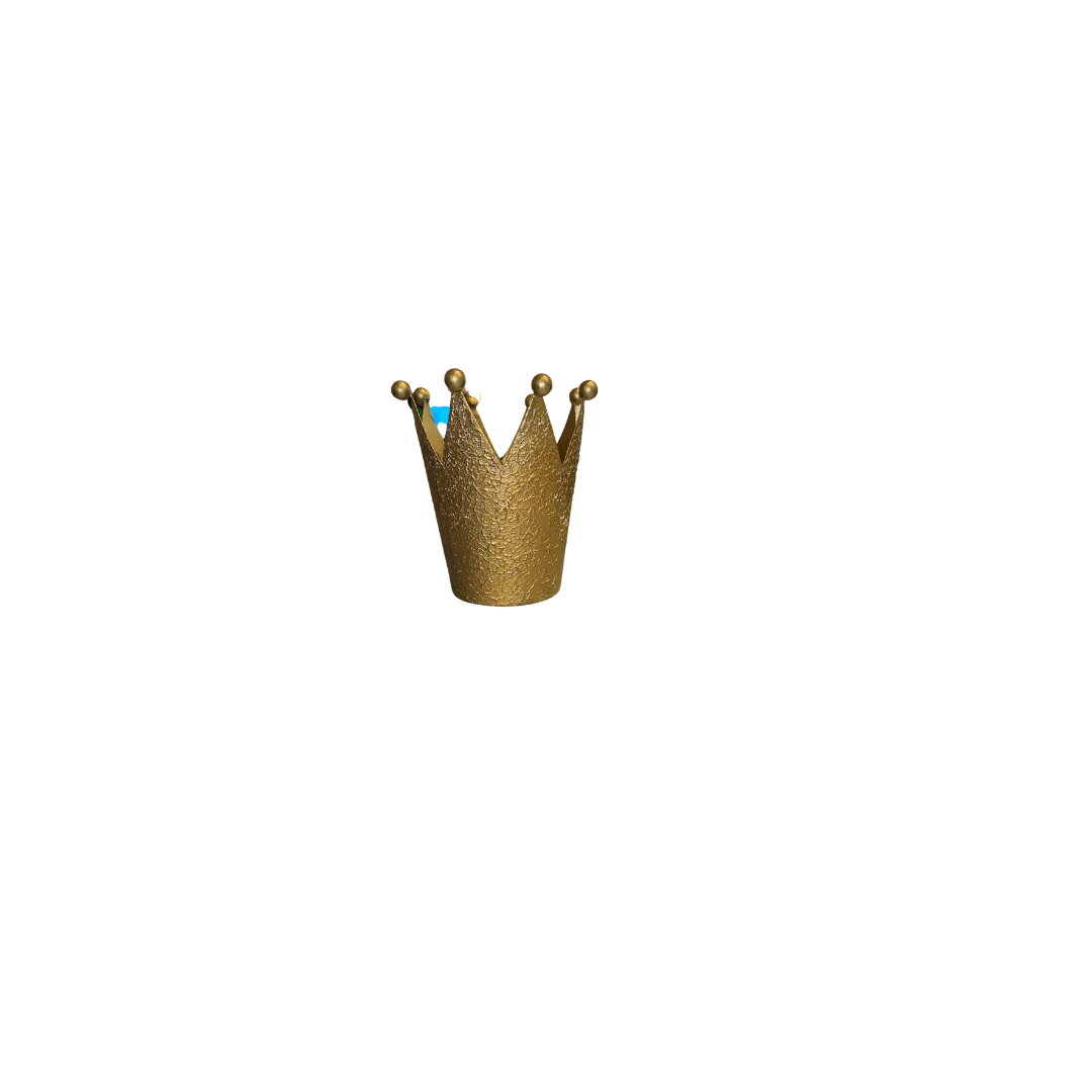 CROWN CUP