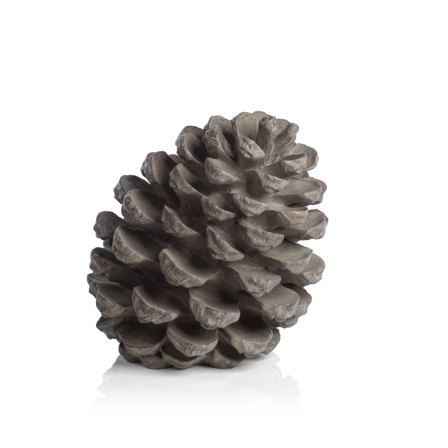 PINECONE
