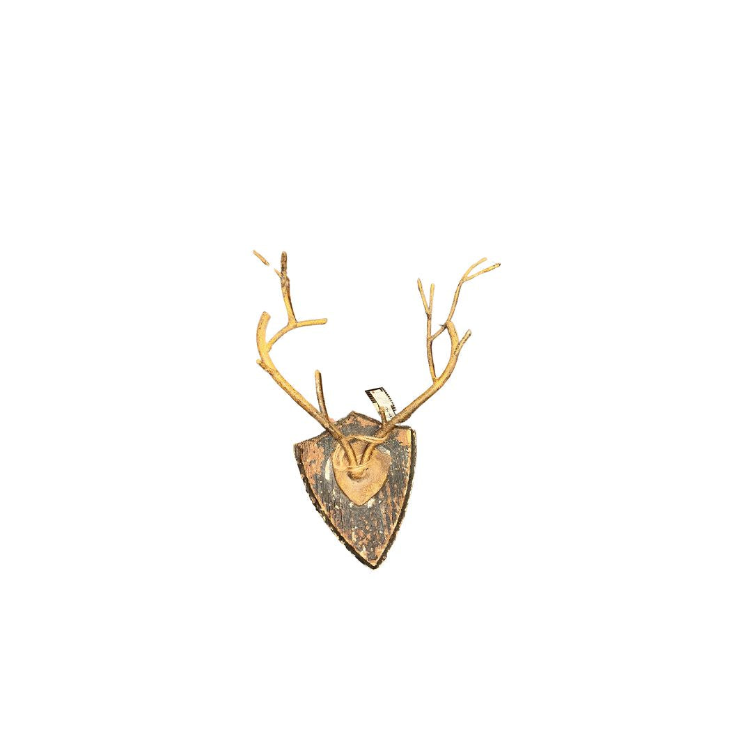 ANTLER WALL DECOR