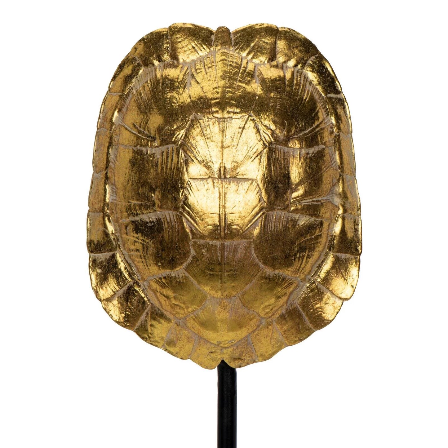 GOLD TURTLE SHELL