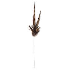 FEATHER PICKS
