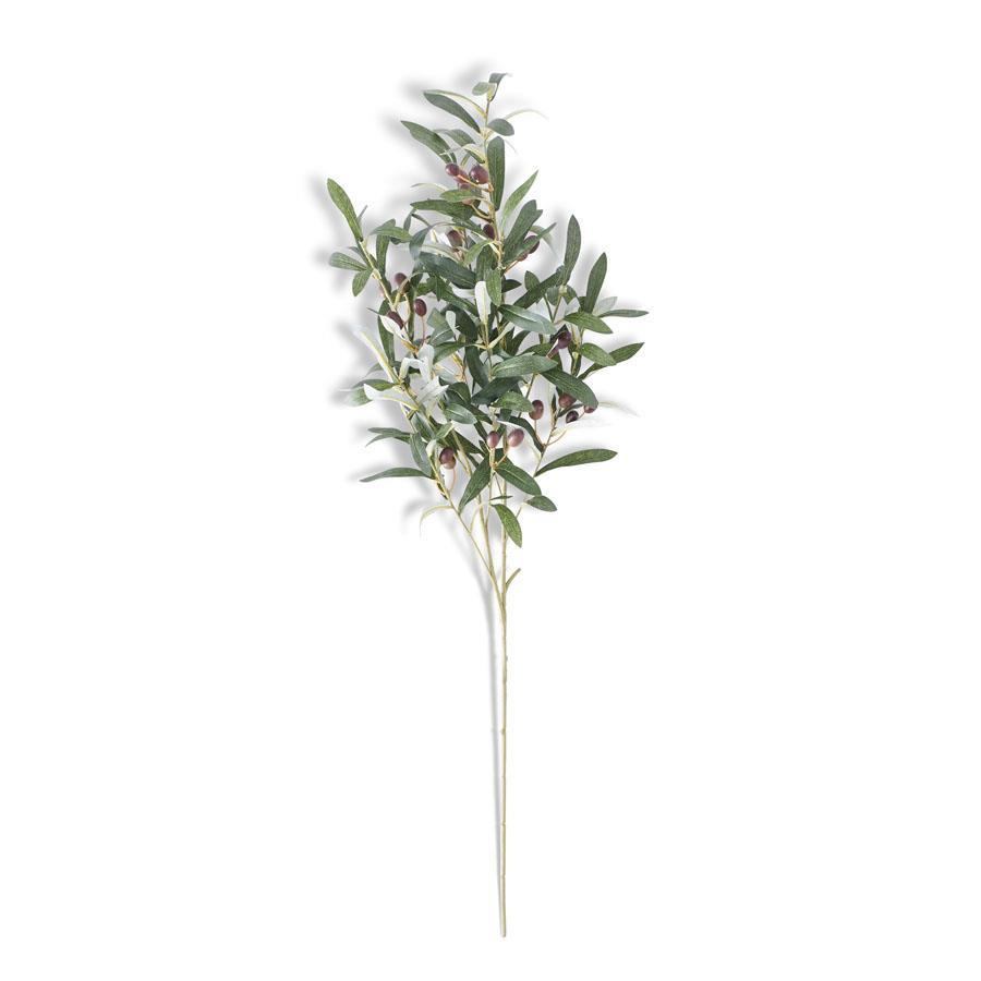 OLIVE SPRIG