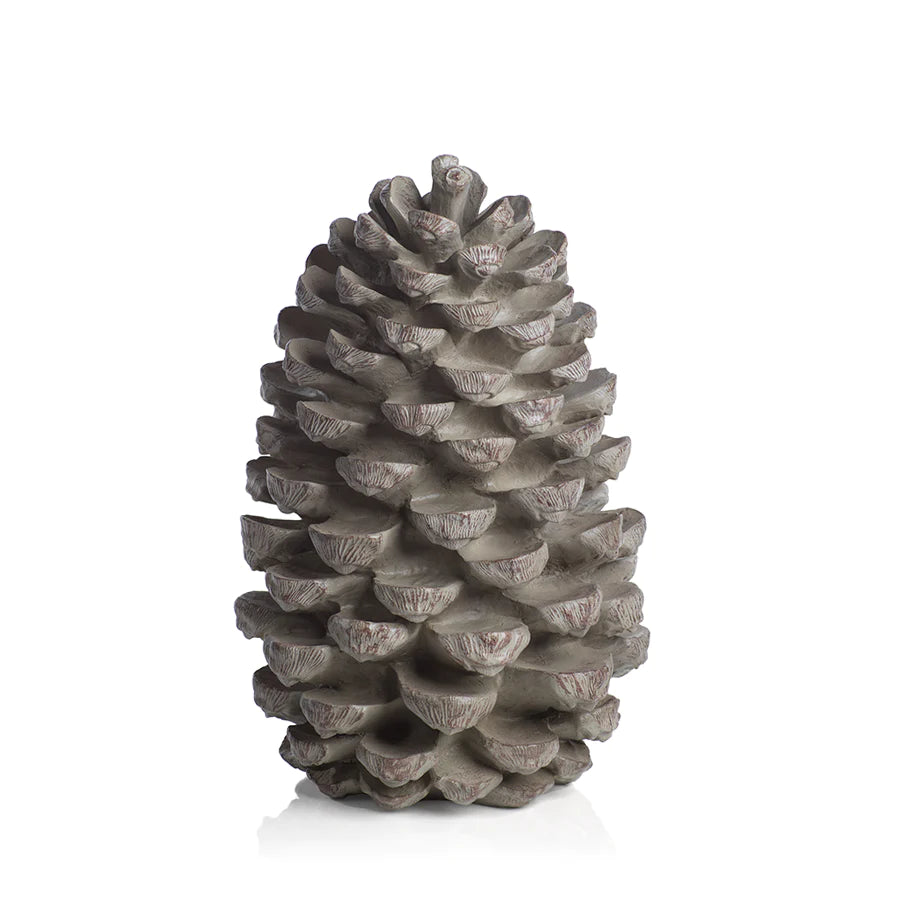 PINECONE