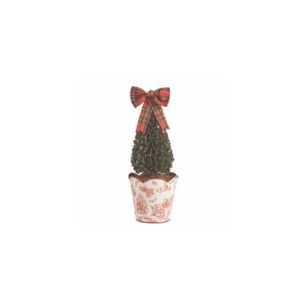 TOILE BOXWOOD TOPIARIES