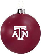 COLLEGE HOLIBALL
