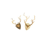 ANTLER WALL DECOR