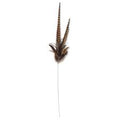 FEATHER PICKS