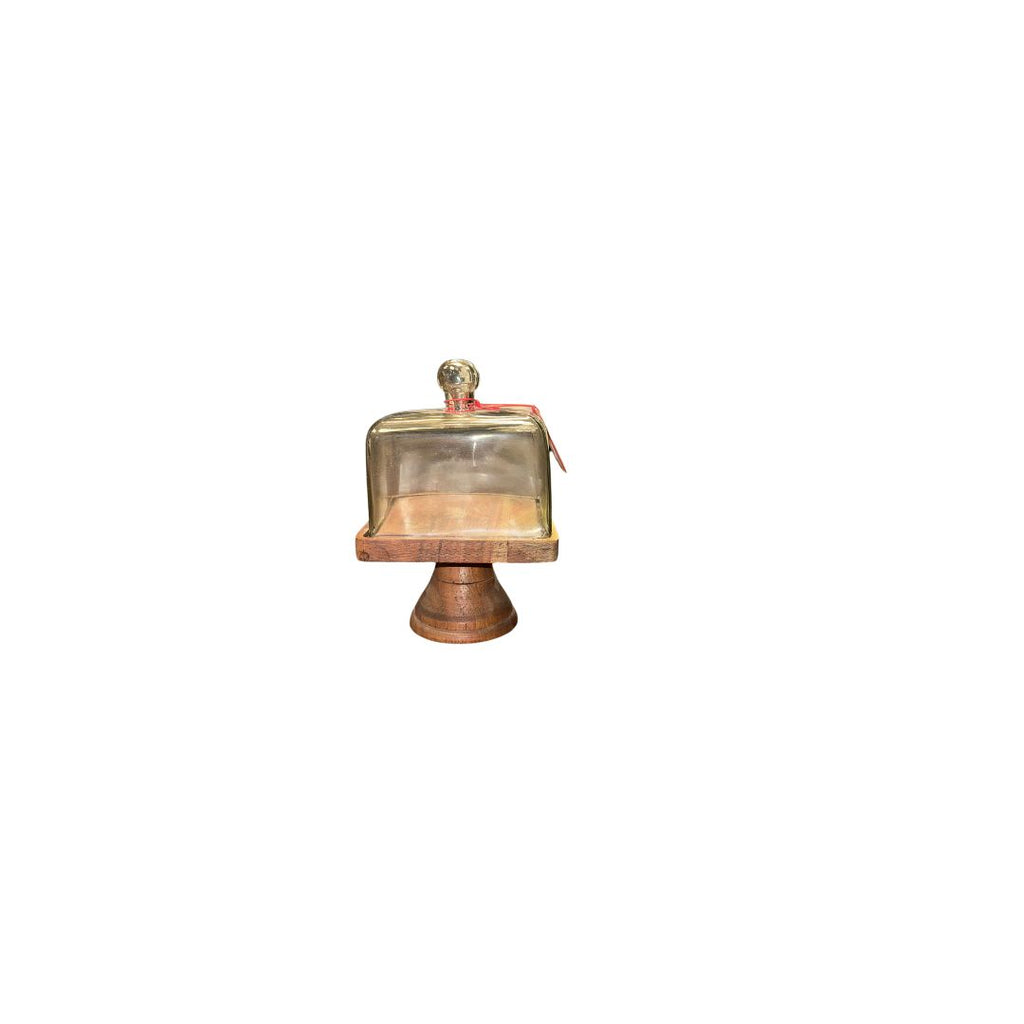 GLASS DOME AND PEDESTAL
