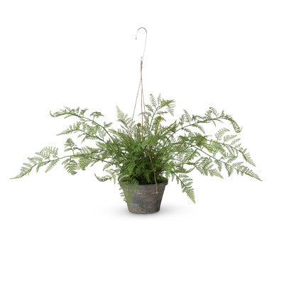 POTTED HANGING FERN