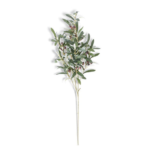 OLIVE SPRIG